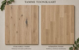 tammetoonid
